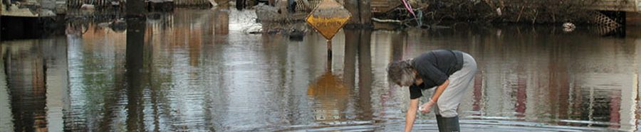 Glenrose.com testing, remediation, expert testimony